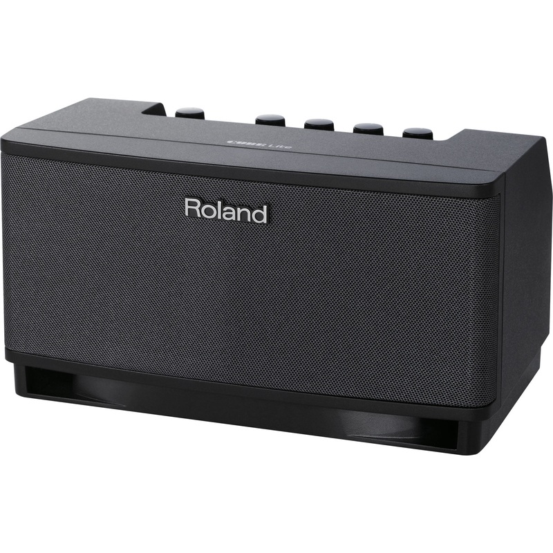 Roland CUBE-LT Lite Tabletop Monitor Amplifier, Black