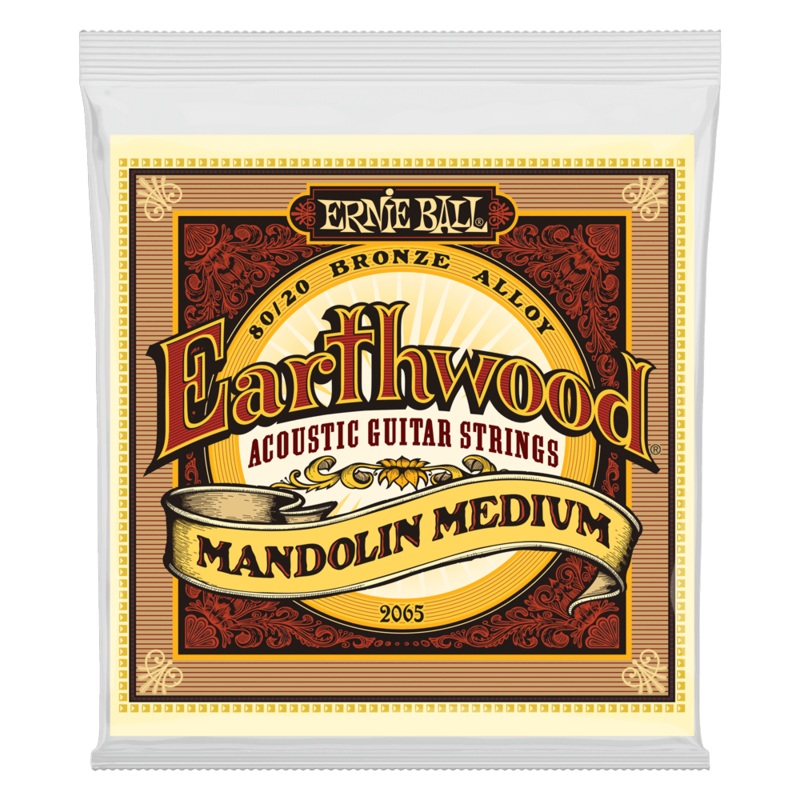 Earthwood Mandolin Medium Loop End 80/20 Acoustic Guitar Strings