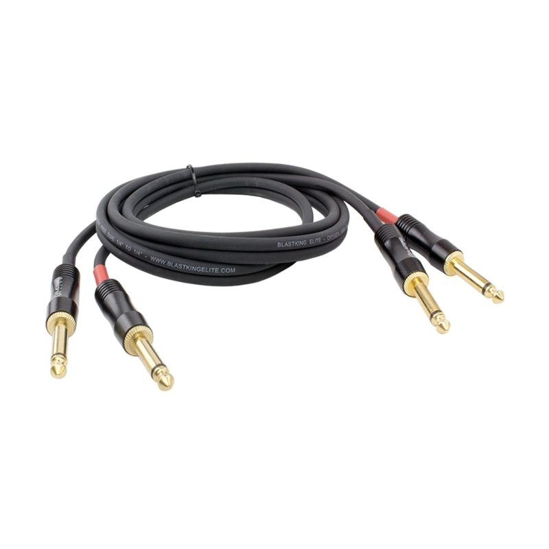 Blastking 10′ Dual 1/4 to 1/4 Cable