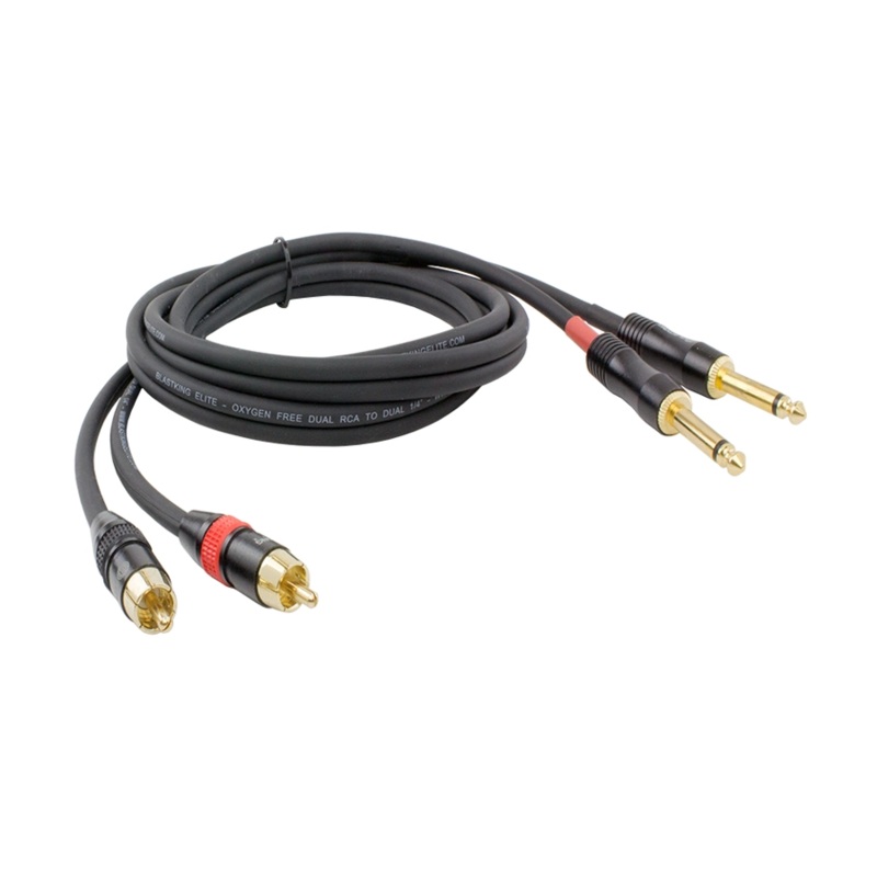 Blastking 10′ Dual RCA to Dual 1/4 Cable  C2R2Q