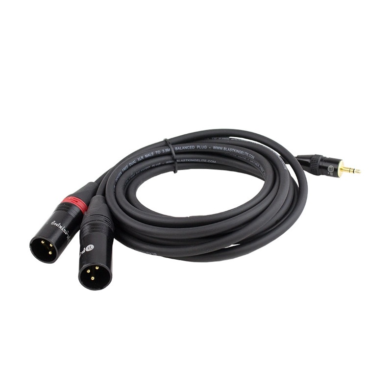 Blastking 10 ft Dual XLR Male to 1/8 Balanced Plug Cable  C2XLRM35B