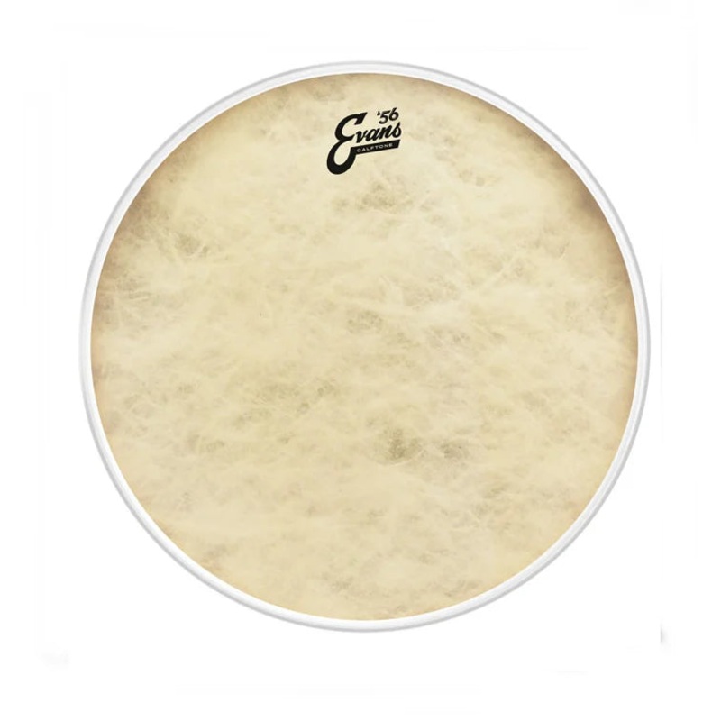 Evans TT16CT 16 ’56 Calftone Tom Drumhead