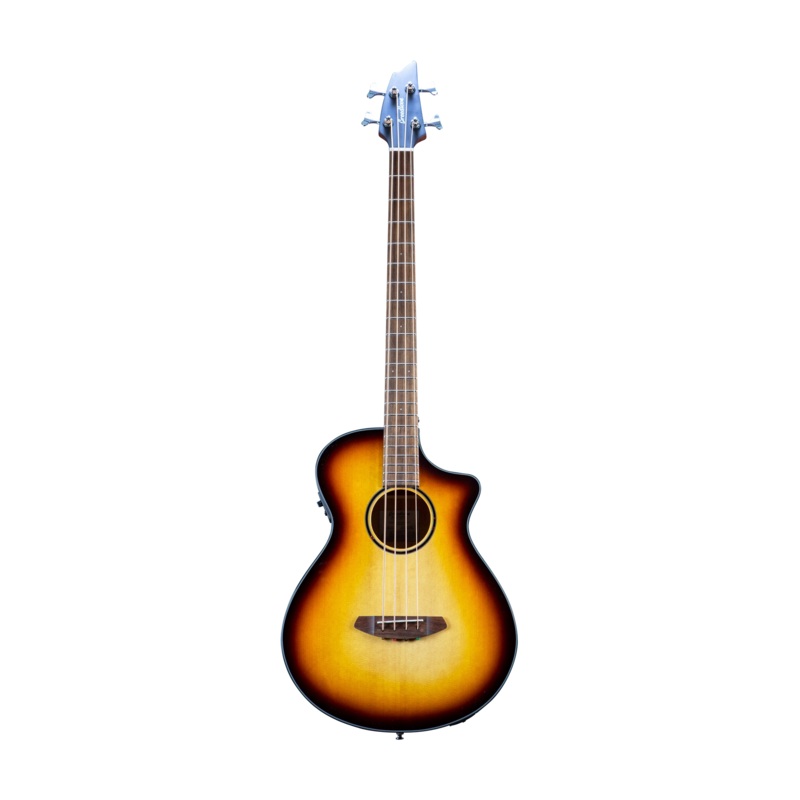 Breedlove Eco Discovery S Concert CE Acoustic-Electric Bass Guitar – Edgeburst