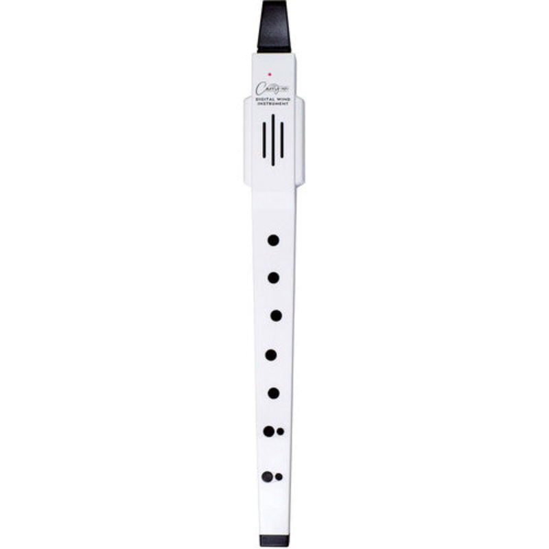 Carry-on Digital Wind Instrument – White